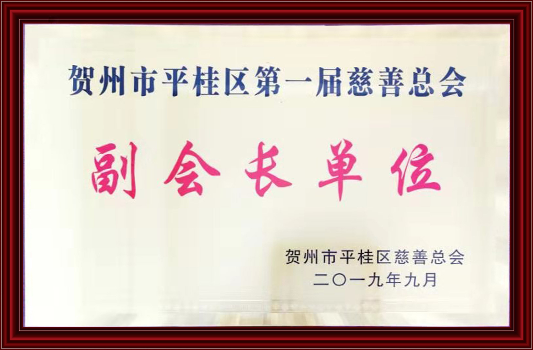 2019副會長(cháng)單位